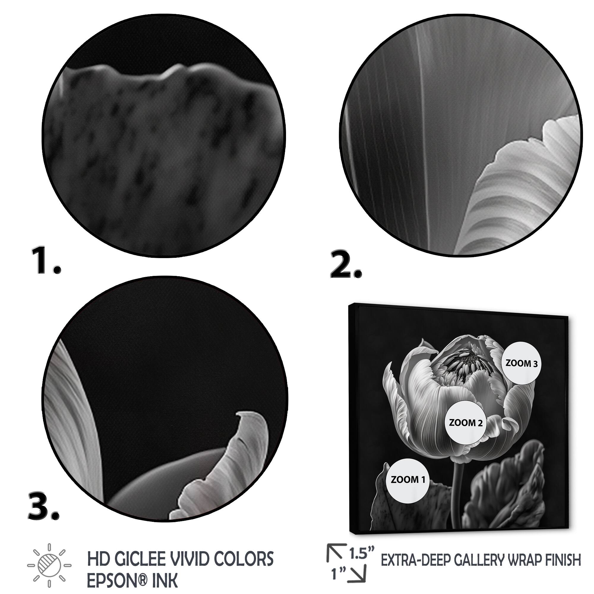 Designart "Closeup Of Black And White Tulip IV" Floral Tulip Framed